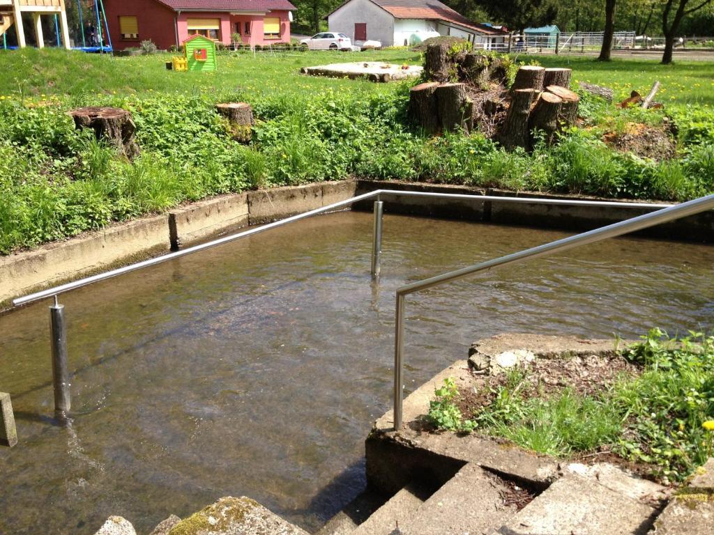 Die Hardtmuehle Bergfreiheit Ngoại thất bức ảnh